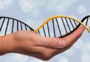 Co należy wiedzieć o dziedziczeniu epigenetycznym?