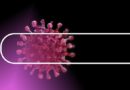Naukowcy: „Koronawirus jest doskonale przystosowany do ludzkiego ciała”